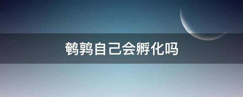 鹌鹑自己会孵化吗 鹌鹑自己会孵化吗什么都不用