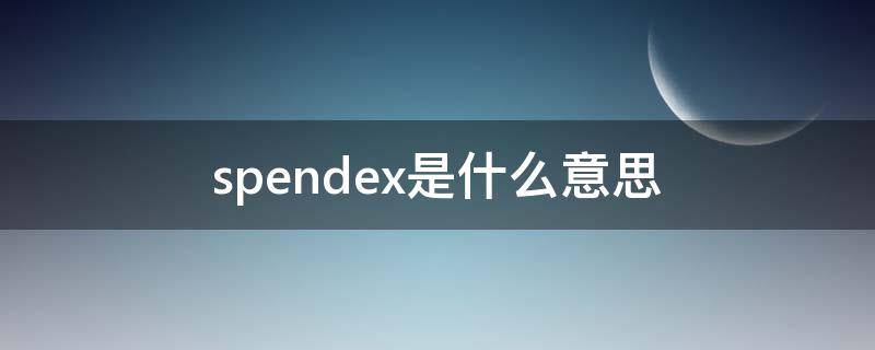 spendex是什么意思（spends 什么意思）