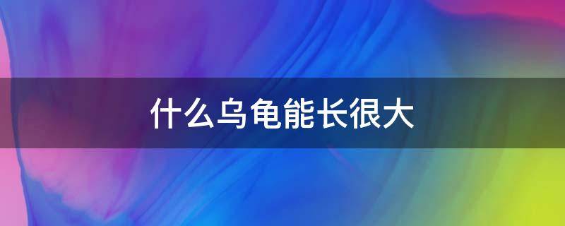 什么乌龟能长很大（什么乌龟能长很大寿命还长）