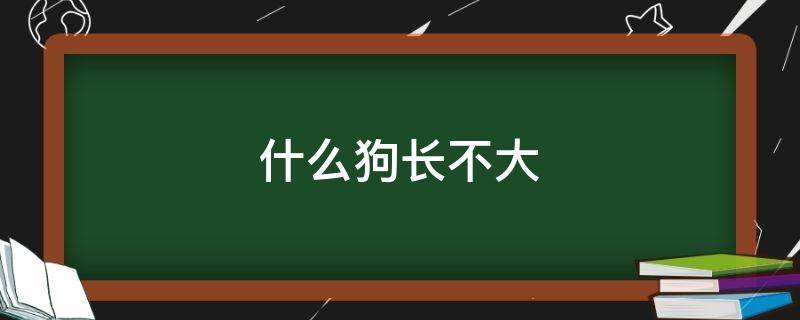 什么狗长不大（什么狗长不大一直很小）