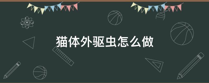 猫体外驱虫怎么做 布偶猫体外驱虫怎么做