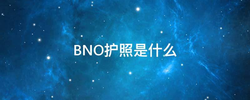 BNO护照是什么（bno护照是什么护照）