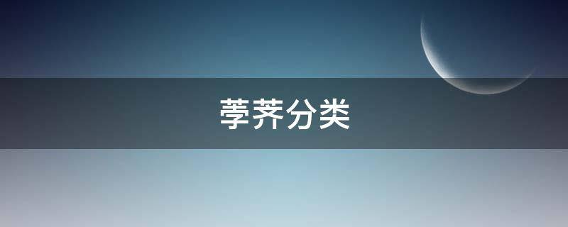 荸荠分类（荸荠有哪些）