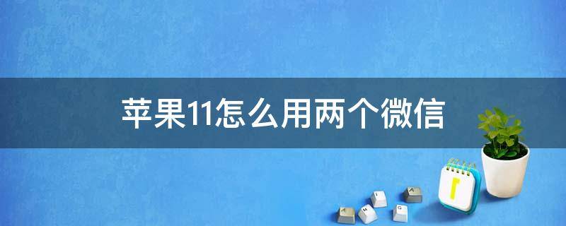 苹果11怎么用两个微信（苹果11怎么用两个微信一个手机）