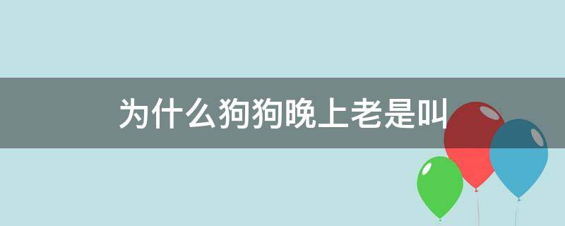 为什么狗狗晚上老是叫 为什么狗狗晚上老是叫蘑菇宠医