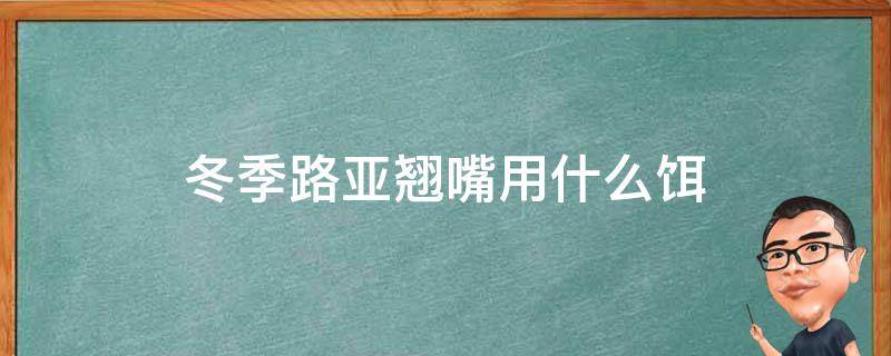 冬季路亚翘嘴用什么饵（冬季路亚翘嘴用什么饵最好）