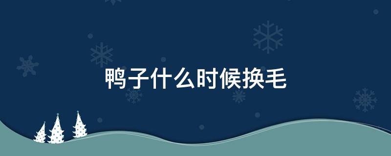 鸭子什么时候换毛（鸭子什么时候换毛完?）