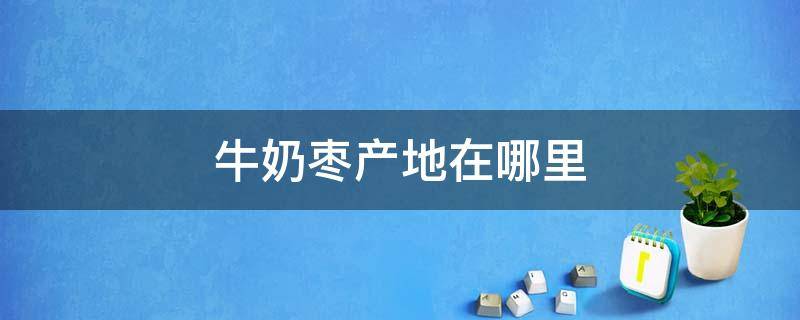 牛奶枣产地在哪里（牛奶枣产地在哪里几月份）