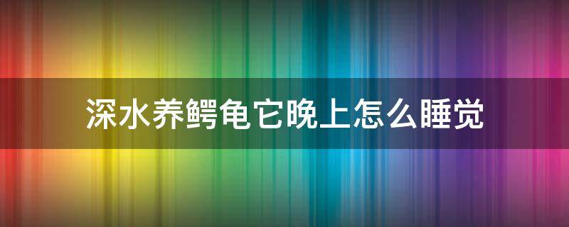 深水养鳄龟它晚上怎么睡觉 鳄龟晚上不睡觉