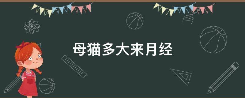 母猫多大来月经 母猫一般多大来月经