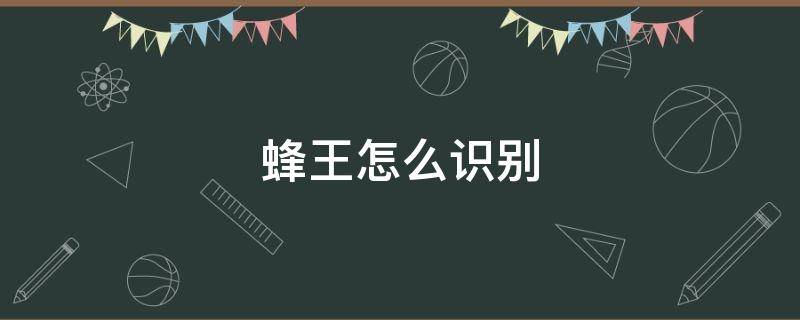 蜂王怎么识别 蜂王怎么识别怎么抓