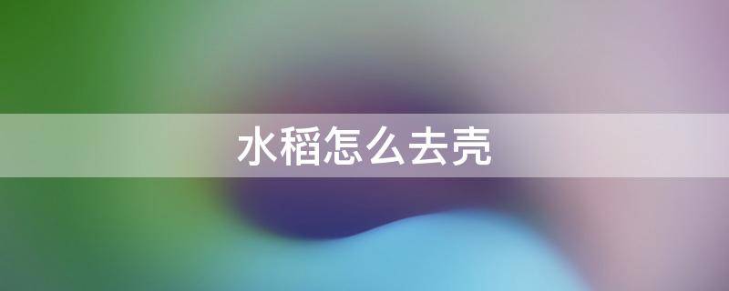 水稻怎么去壳（怎么给稻米去壳）