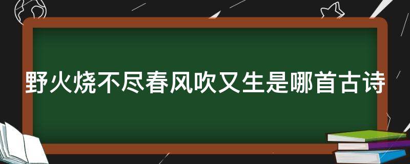 野火烧不尽春风吹又生是哪首古诗（野火烧不尽春风吹又生是哪首古诗作者）