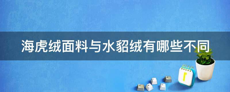 海虎绒面料与水貂绒有哪些不同 海虎绒面料与水貂绒有哪些不同点
