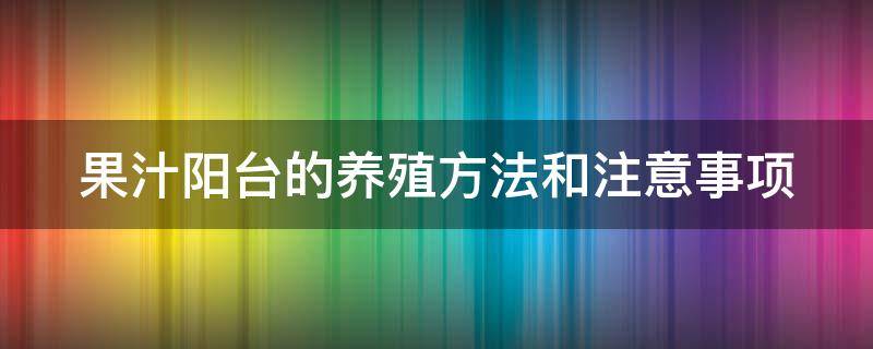 果汁阳台的养殖方法和注意事项（果汁阳台月季一年开几次花）