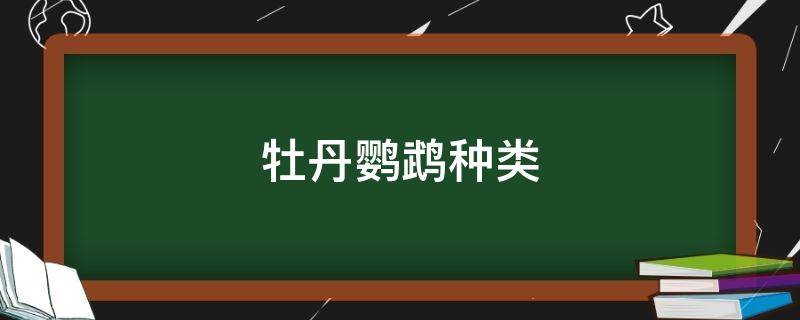 牡丹鹦鹉种类 牡丹鹦鹉种类图片大全