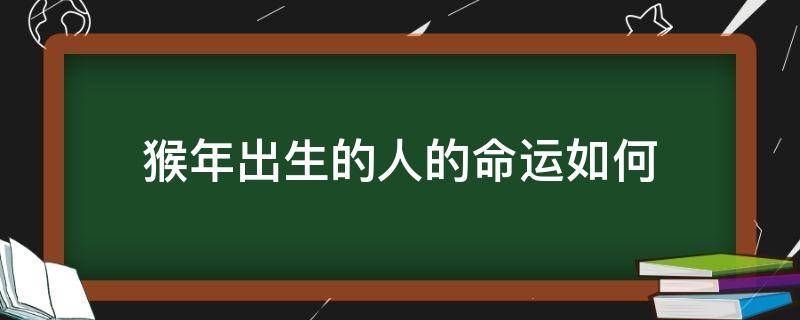 猴年出生的人的命运如何（属猴的人命运如何）