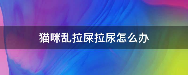 猫咪乱拉屎拉尿怎么办 猫咪乱拉屎乱拉尿怎么办