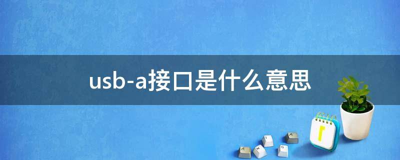 usb-a接口是什么意思（usb-a型接口）