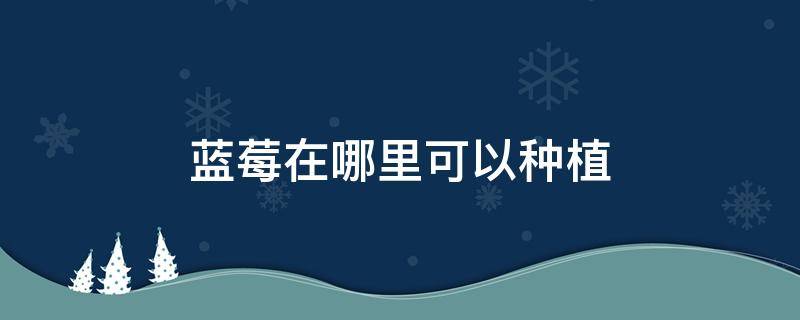 蓝莓在哪里可以种植（蓝莓一般在哪里种植）