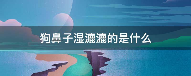狗鼻子湿漉漉的是什么（小狗鼻子湿漉漉的是怎么回事）