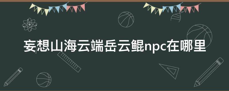 妄想山海云端岳云鲲npc在哪里 妄想山海经岳云鲲npc