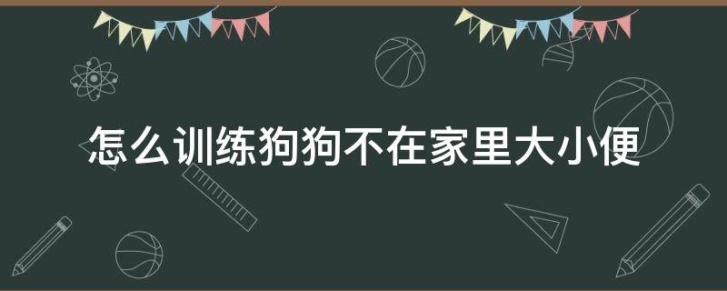 怎么训练狗狗不在家里大小便 如何训练狗狗不在家里大小便