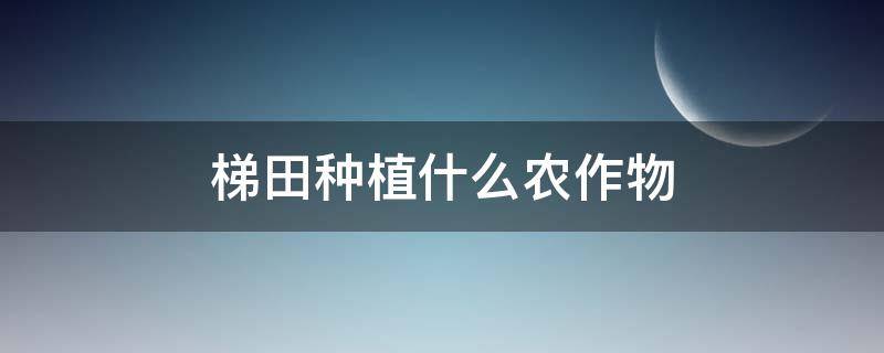 梯田种植什么农作物（云南梯田种植什么农作物）