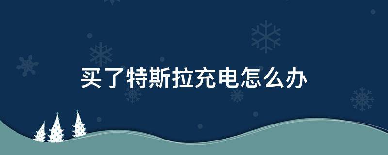 买了特斯拉充电怎么办（买特斯拉怎么解决充电问题）