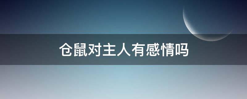 仓鼠对主人有感情吗（仓鼠知道主人对他好吗）