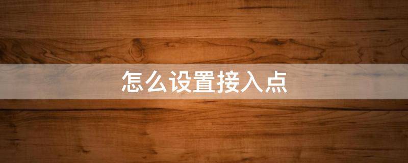 怎么设置接入点（苹果手机怎么设置接入点）