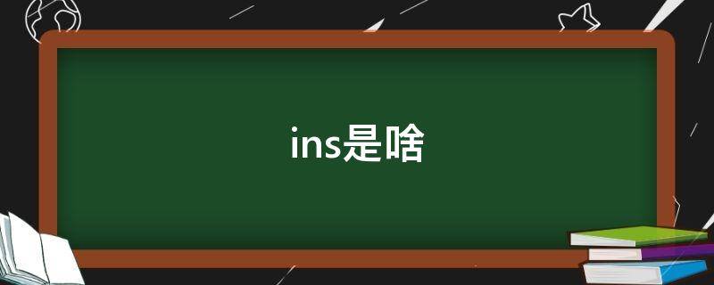 ins是啥 ins是啥软件