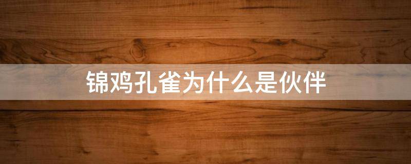 锦鸡孔雀为什么是伙伴 为啥孔雀锦鸡是伙伴