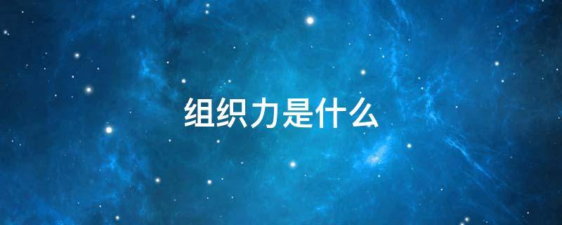 组织力是什么 组织力是什么时候提出的