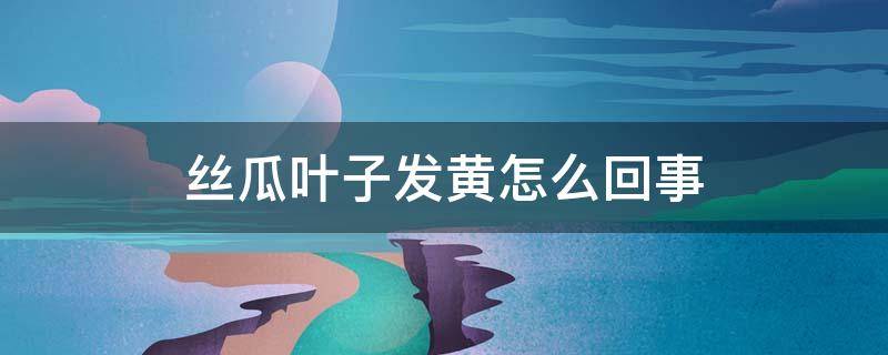 丝瓜叶子发黄怎么回事（丝瓜叶子发黄怎么回事儿）