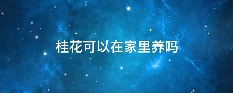 桂花可以在家里养吗（桂花是不是不能在家里养）