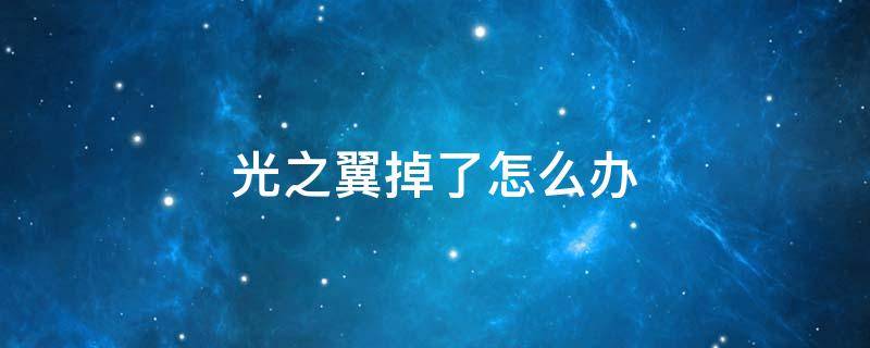 光之翼掉了怎么办（永久光之翼掉了怎么办）