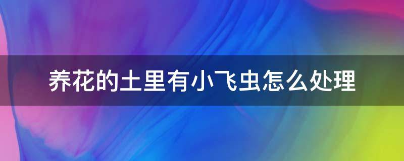 养花的土里有小飞虫怎么处理 花土上生小飞虫怎么处理