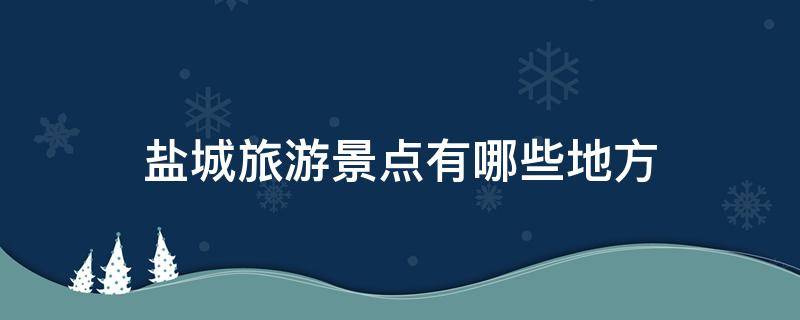 盐城旅游景点有哪些地方（盐城市区景点有哪些地方）