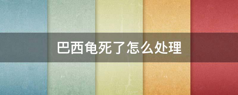 巴西龟死了怎么处理（巴西龟死掉了）