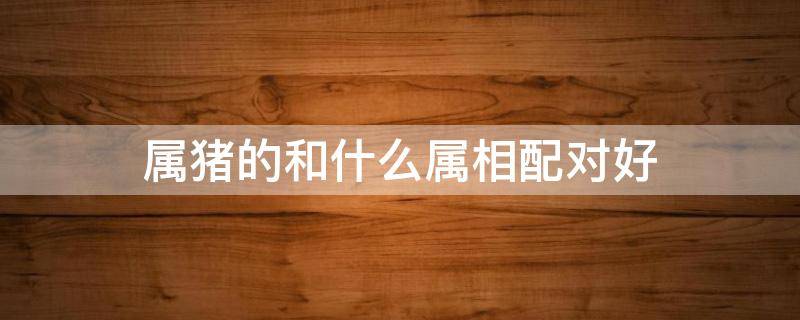 属猪的和什么属相配对好（属猪和什么属相最配对）