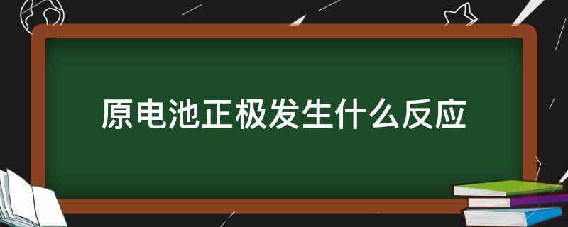 原电池正极发生什么反应（原电池正极发生什么反应方程式）