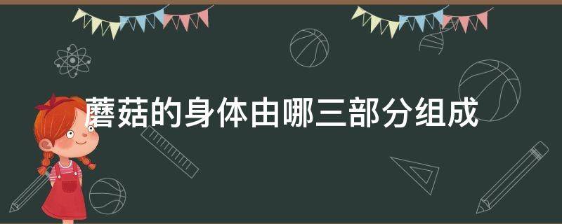 蘑菇的身体由哪三部分组成 蘑菇的身体由什么组成把成熟的蘑菇