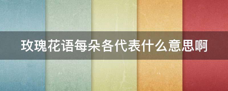 玫瑰花语每朵各代表什么意思啊（玫瑰花语朵数大全）