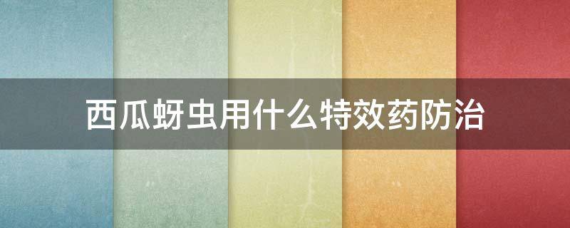 西瓜蚜虫用什么特效药防治（西瓜蚜虫的防治方法）