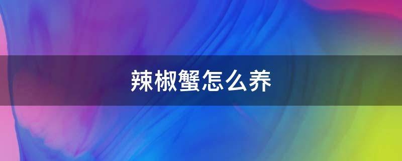 辣椒蟹怎么养（淡水辣椒蟹怎么养）