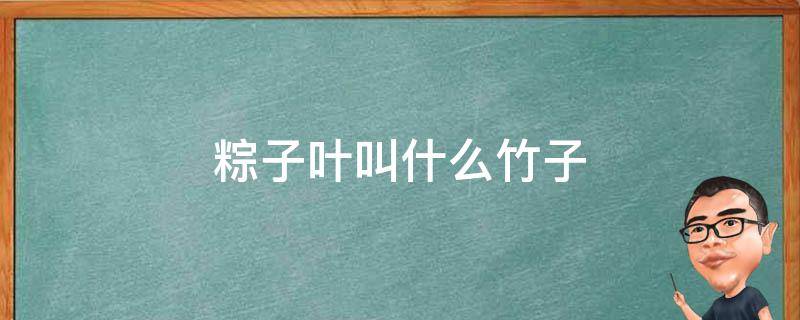 粽子叶叫什么竹子（粽叶是什么竹子）