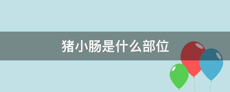 猪小肠是什么部位（猪的小肠在哪里）