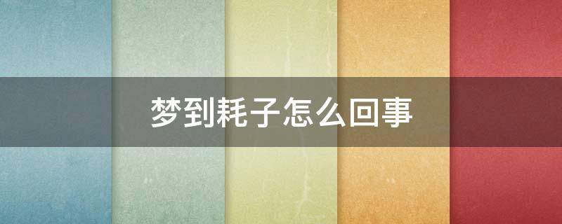 梦到耗子怎么回事（梦见耗子怎么办）