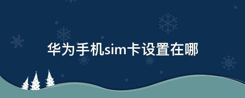 华为手机sim卡设置在哪（华为手机SIM卡在哪）